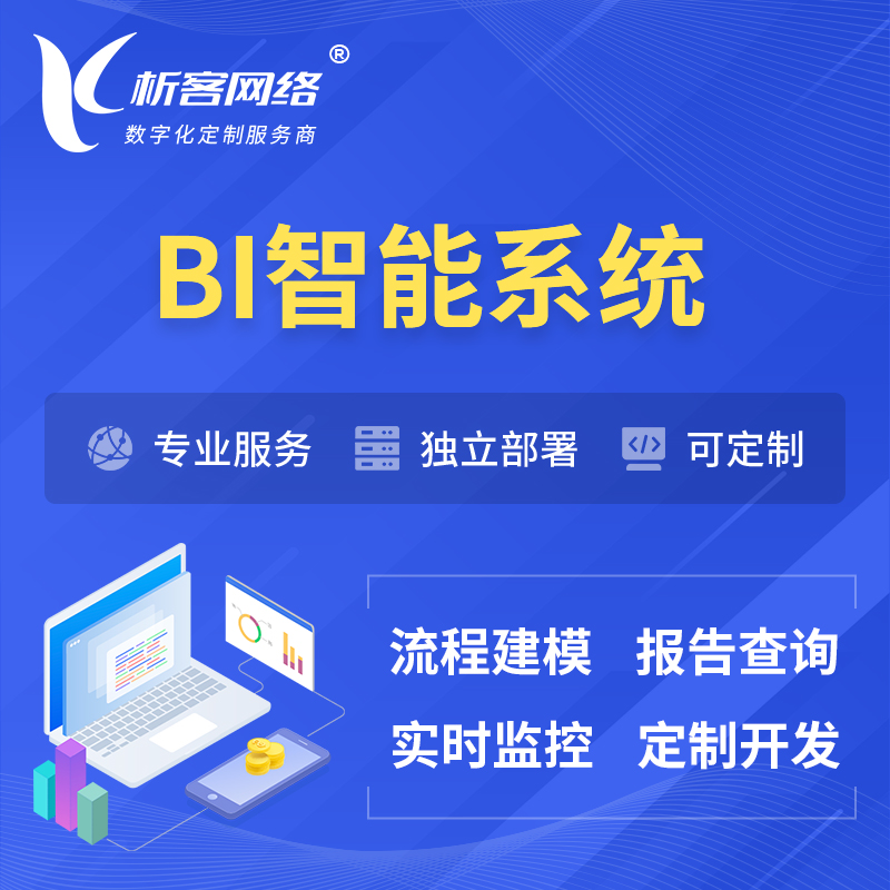 玉树藏族BI智能系统 | BI数据可视化